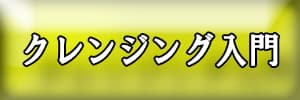 クレンジング1