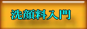 洗顔料1