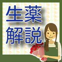 桂枝茯苓丸加薏苡仁の解説