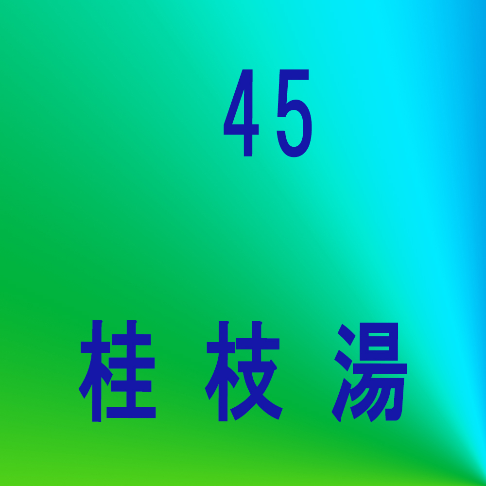 漢方45